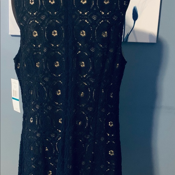 Sharagno Dress
Navy/Nude lace Dress. Sleeveless Size  16 . NWT . - Picture 4 of 6